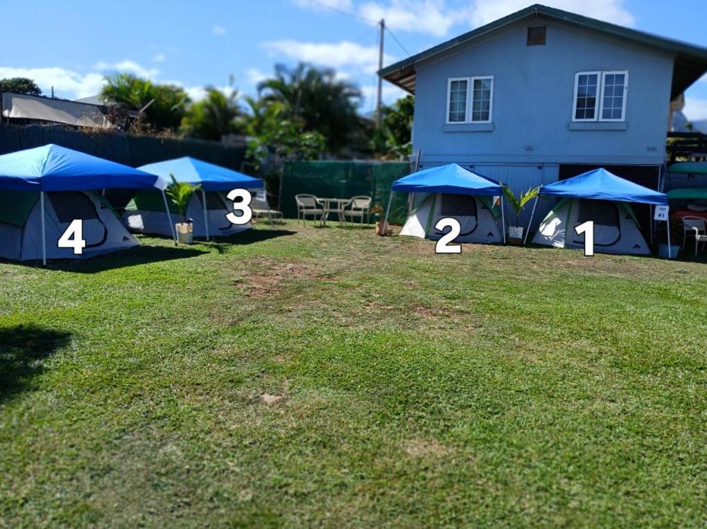 Готель Robbins Estate Wailuku Номер фото
